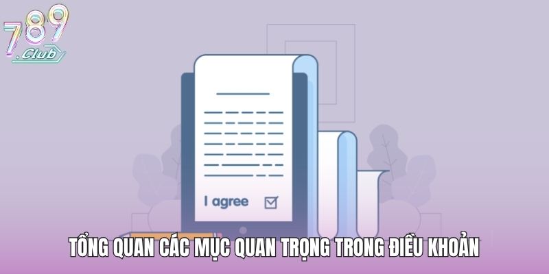 Tổng quan các mục quan trọng trong điều khoản